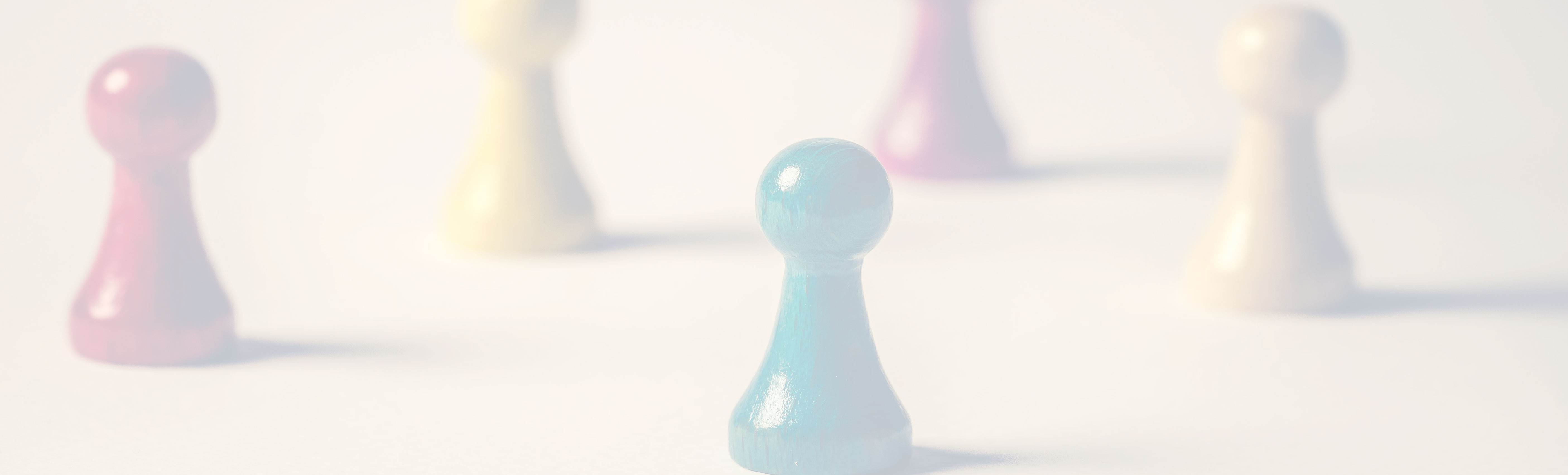 Banner 1