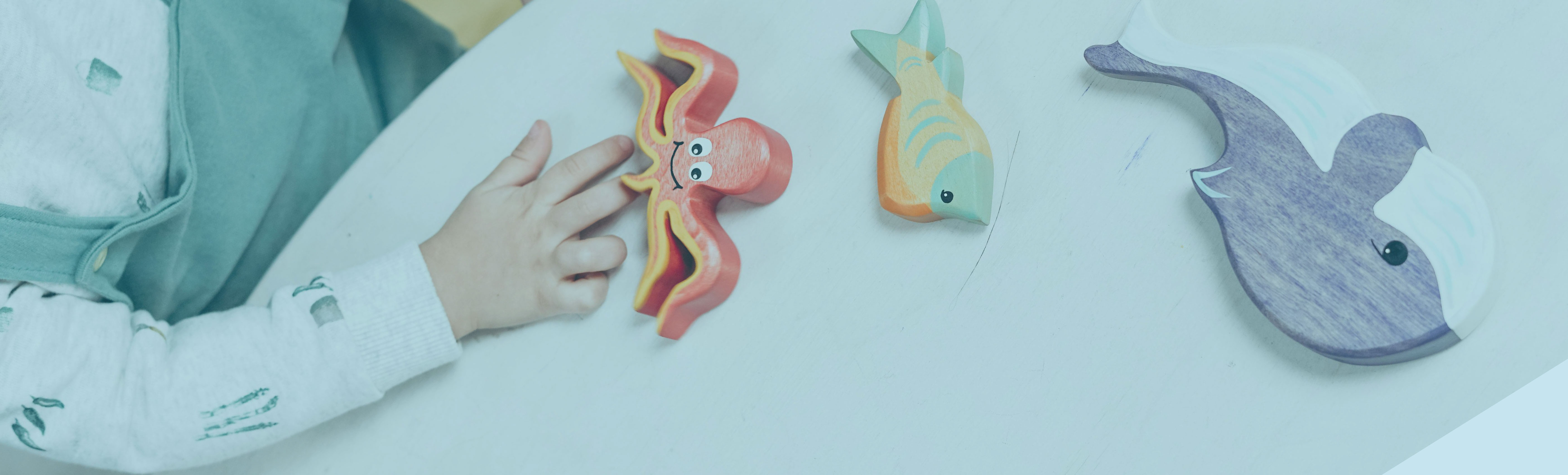 Banner 6