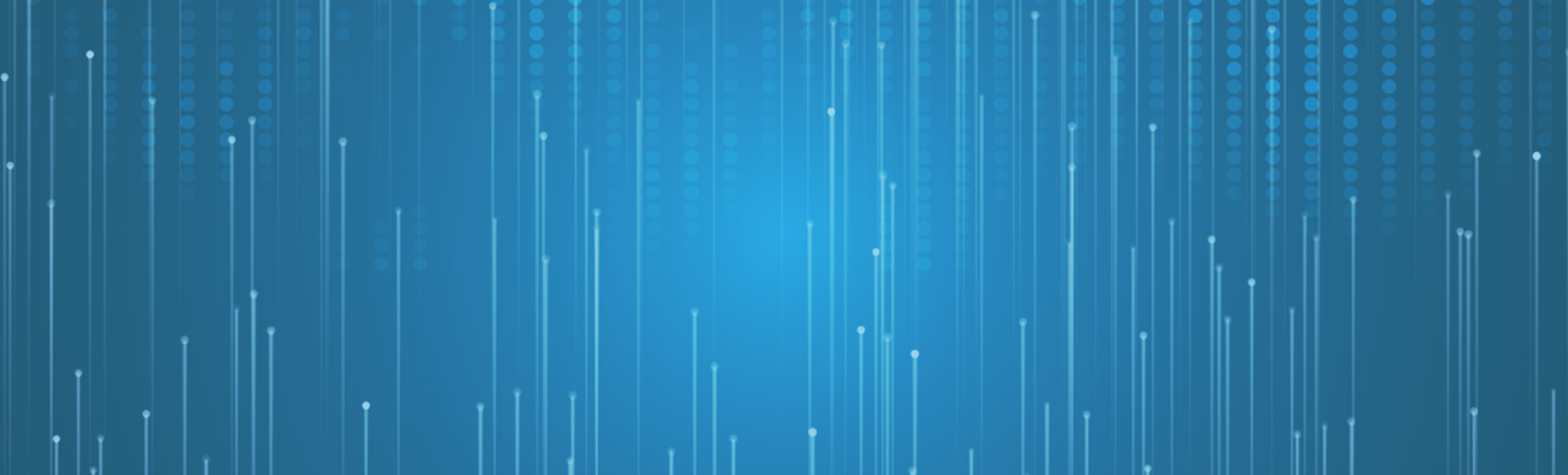 Banner 2